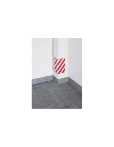 LAM62095