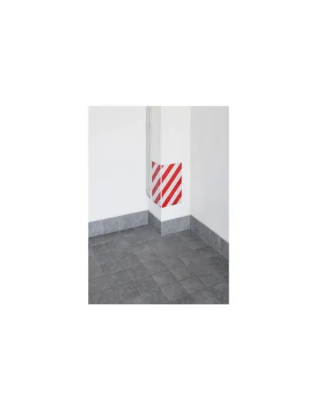 LAM62095