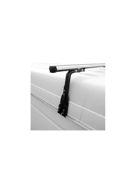 LAMN30310