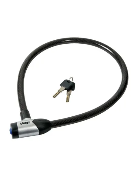 LAM93720