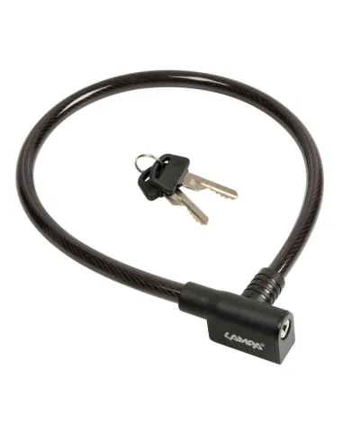 LAM93721