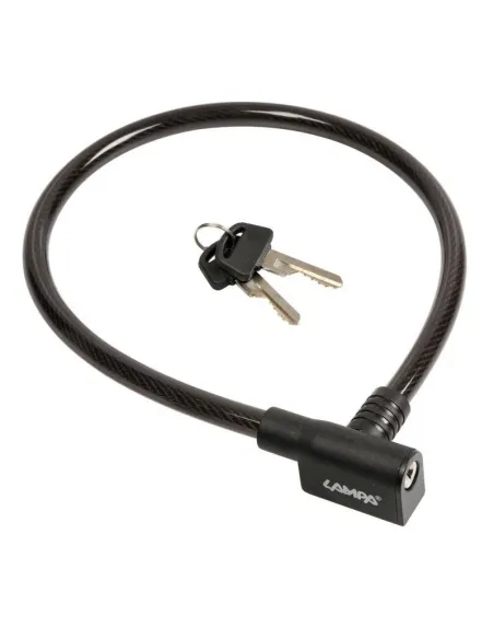 LAM93721