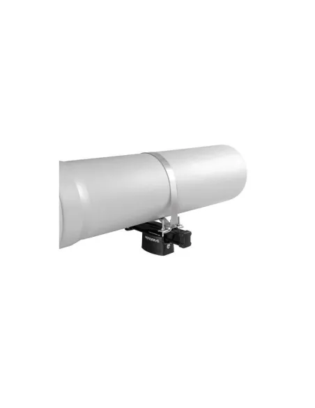 LAMN11051