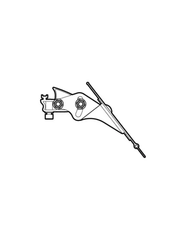 LAMN11058