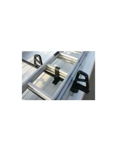 LAMN11065