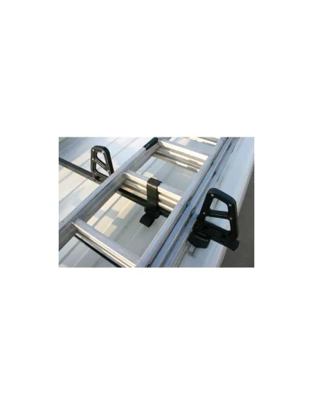 LAMN11065