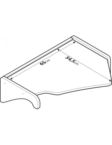 LAM96087