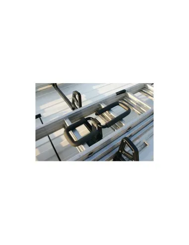 LAMN11067