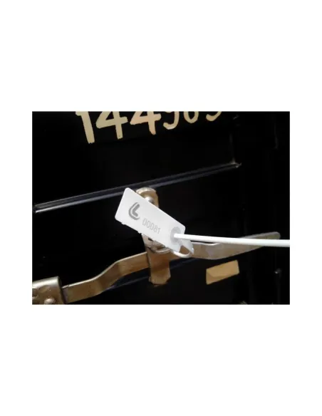 LAM97946