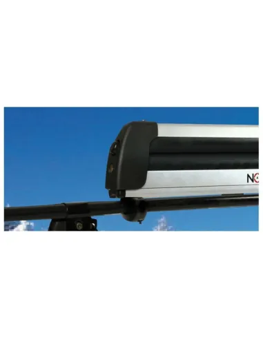 LAMN40050