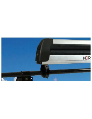 LAMN40050