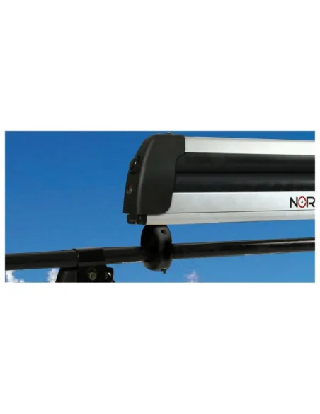 LAMN40050
