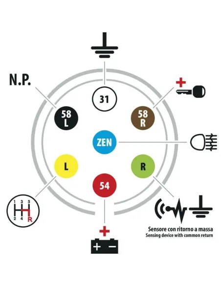 Toma 7 Polos 24S 24V