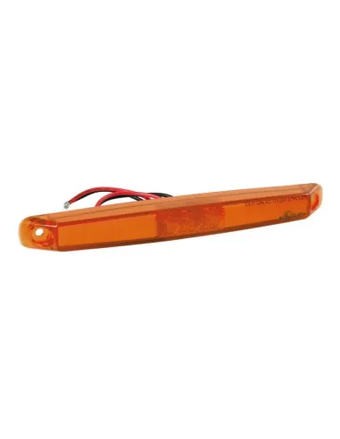 LAM41479