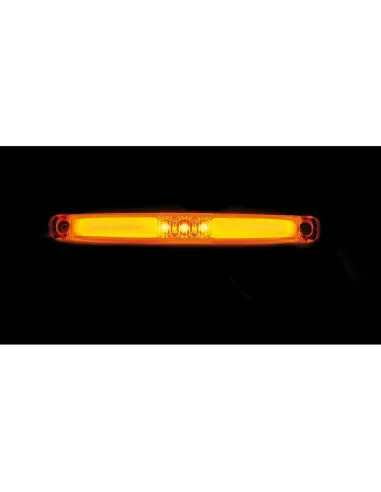 LAM41479