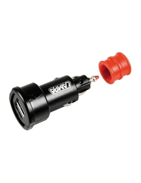 LAM38881