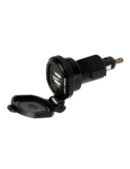 LAM38882
