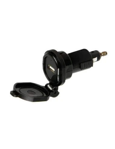 LAM38880