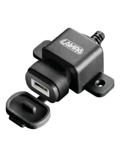 LAM38833