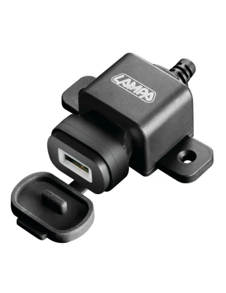 LAM38833