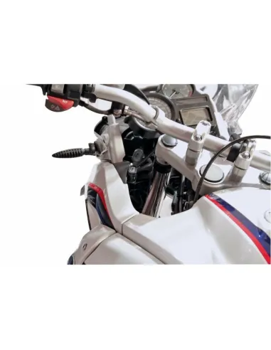LAM38833