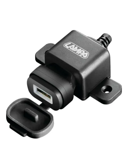 LAM38878