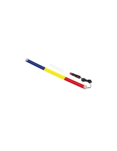 LAM98895