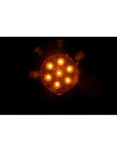 LAM41460
