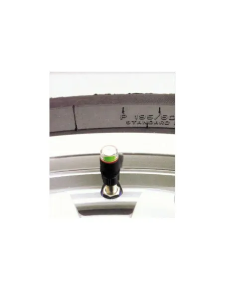 Tapones Valvula Controlador De Presion 1,8 (2 Unidades)