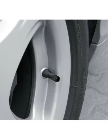 Tapones Valvula Abs (5 Unidades)