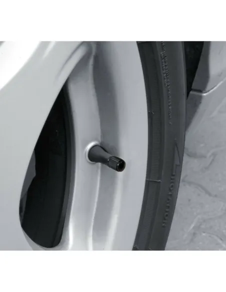 Tapones Valvula Abs (5 Unidades)