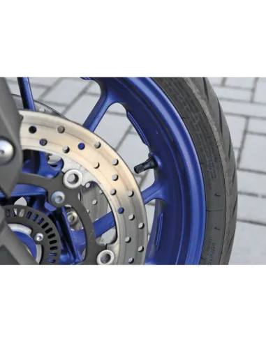 Tapones Valvula Abs (5 Unidades)