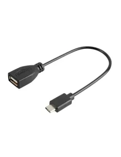 LAM38858