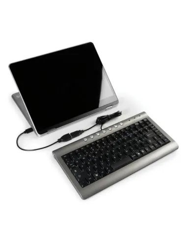 LAM38858