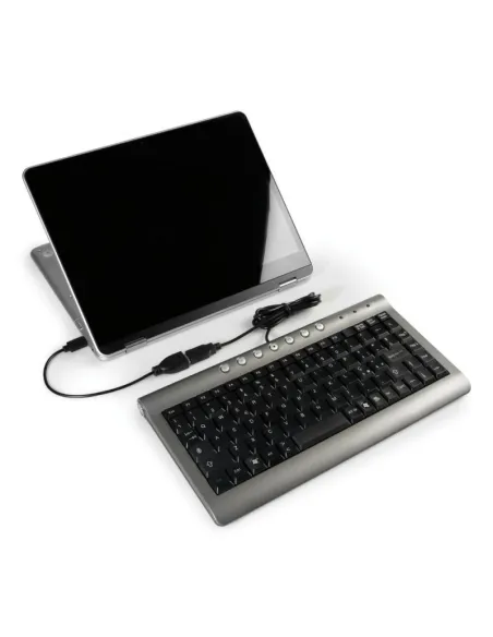 LAM38858