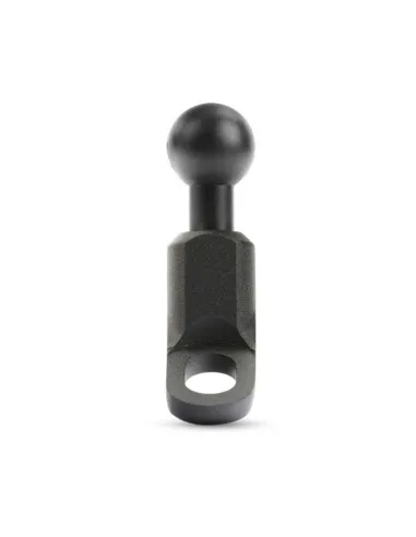 LAM90562