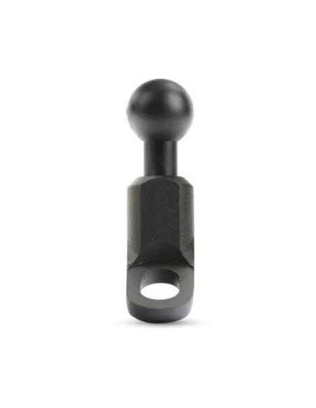 LAM90562