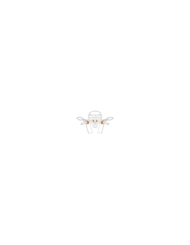 LAM91590