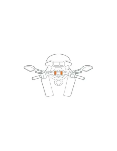 LAM91591