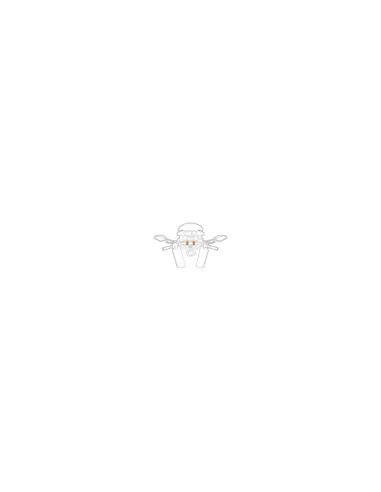 LAM91591