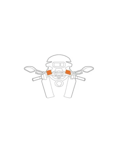 LAM91596