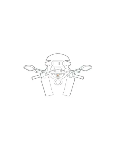 LAM91597