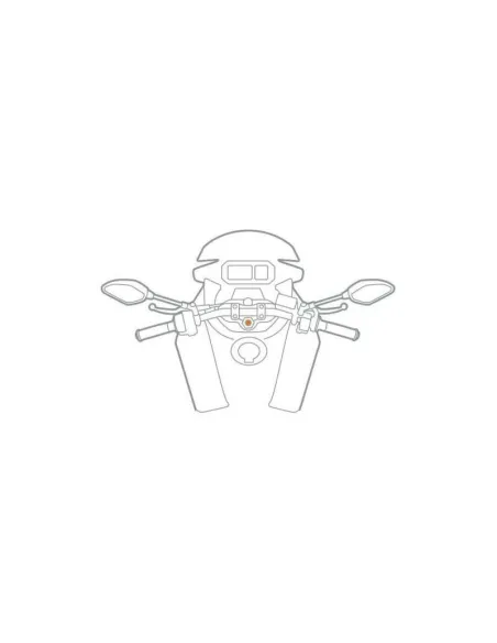 LAM91597