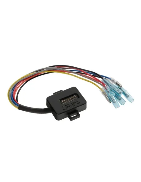 LAM91618