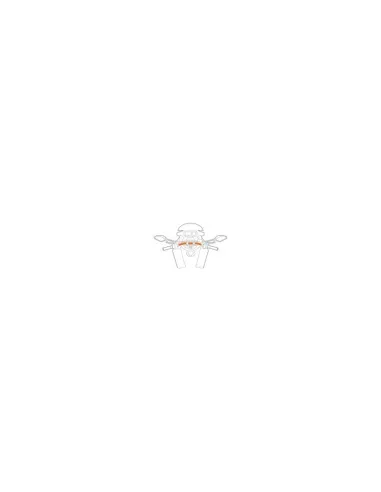 LAM91594