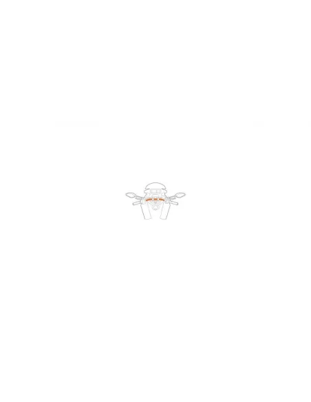 LAM91594