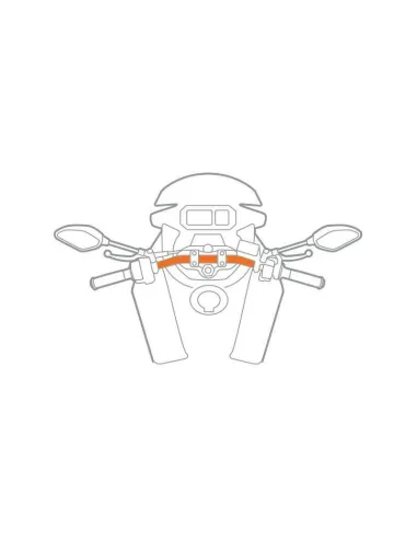 LAM91594