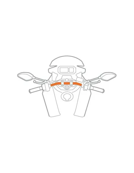 LAM91594