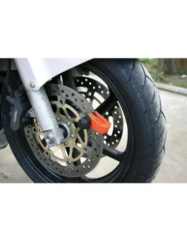 LAM65391