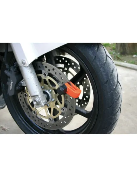 LAM65391